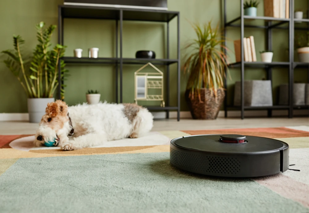 robotic vacuum cleaner with mopping